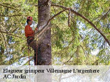 Elagueur grimpeur villemagne-l-argentiere-34600 AC Jardin