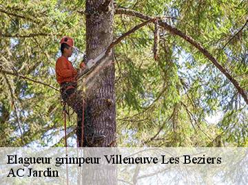 Elagueur grimpeur villeneuve-les-beziers-34420 AC Jardin