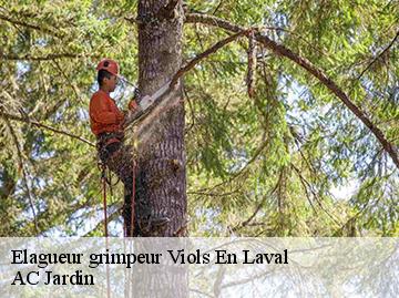 Elagueur grimpeur viols-en-laval-34380 AC Jardin