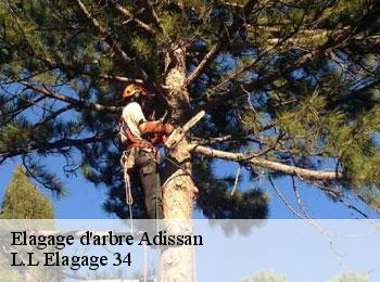 Elagage d'arbre  adissan-34230 L.L Elagage 34 