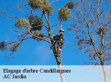 Elagage d'arbre candillargues-34130 AC Jardin
