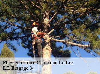 Elagage d'arbre  castelnau-le-lez-34170 L.L Elagage 34 