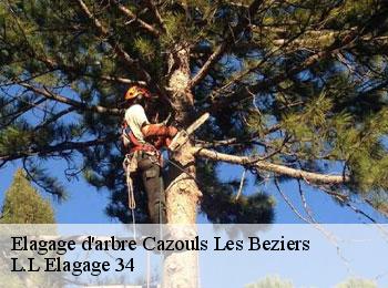 Elagage d'arbre  cazouls-les-beziers-34370 L.L Elagage 34 