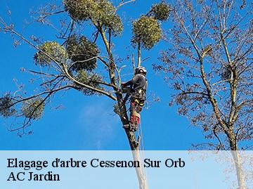 Elagage d'arbre cessenon-sur-orb-34460 AC Jardin