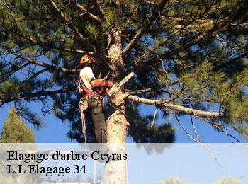 Elagage d'arbre  ceyras-34800 L.L Elagage 34 