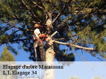 Elagage d'arbre  maraussan-34370 L.L Elagage 34 