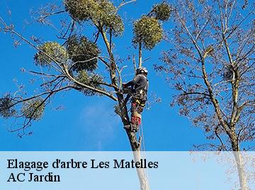 Elagage d'arbre les-matelles-34270 AC Jardin