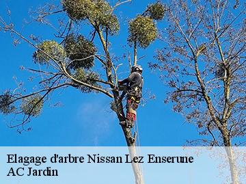 Elagage d'arbre nissan-lez-enserune-34440 AC Jardin