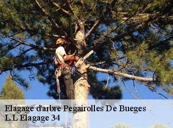 Elagage d'arbre  pegairolles-de-bueges-34380 L.L Elagage 34 
