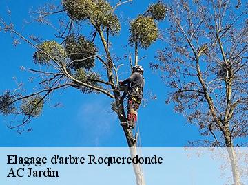 Elagage d'arbre roqueredonde-34650 AC Jardin