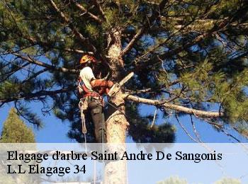 Elagage d'arbre  saint-andre-de-sangonis-34725 L.L Elagage 34 
