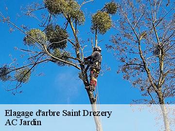 Elagage d'arbre saint-drezery-34160 AC Jardin