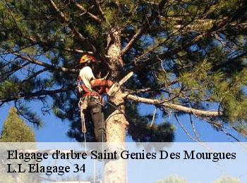 Elagage d'arbre  saint-genies-des-mourgues-34160 L.L Elagage 34 
