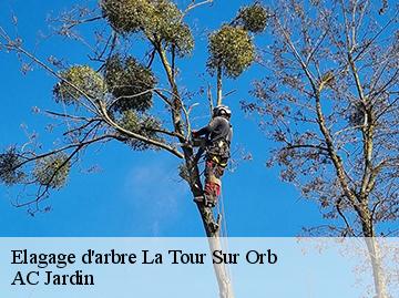 Elagage d'arbre la-tour-sur-orb-34260 AC Jardin