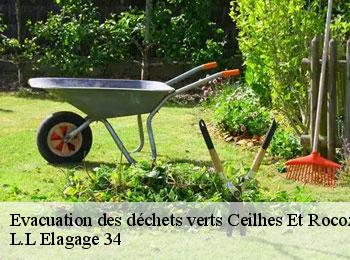 Evacuation des déchets verts  ceilhes-et-rocozels-34260 L.L Elagage 34 