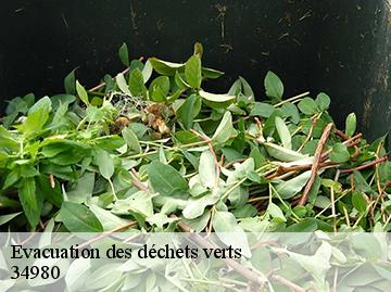 Evacuation des déchets verts 34980