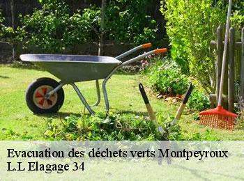 Evacuation des déchets verts  montpeyroux-34150 L.L Elagage 34 