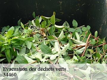 Evacuation des déchets verts 34460