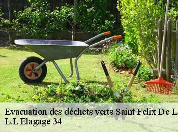 Evacuation des déchets verts  saint-felix-de-lodez-34725 L.L Elagage 34 