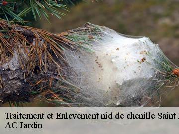 Traitement et Enlevement nid de chenille saint-nazaire-de-pezan-34400 AC Jardin