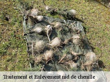 Traitement et Enlevement nid de chenille
