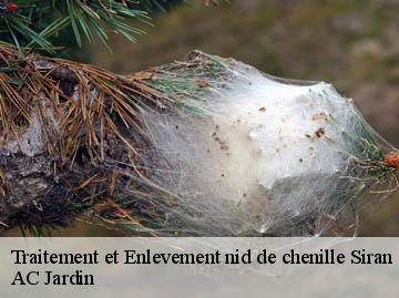 Traitement et Enlevement nid de chenille  siran-34210 AC Jardin