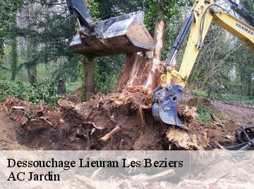 Dessouchage lieuran-les-beziers-34290 AC Jardin