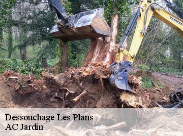 Dessouchage les-plans-34700 AC Jardin