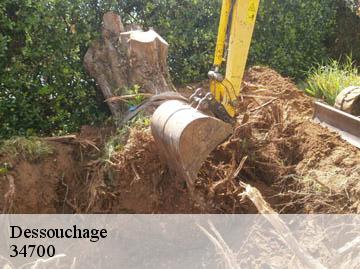 Dessouchage 34700