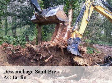 Dessouchage saint-bres-34670 AC Jardin