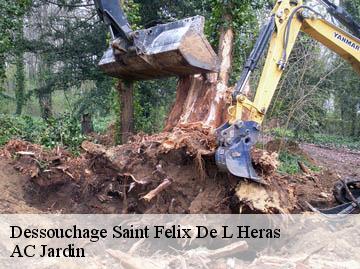 Dessouchage saint-felix-de-l-heras-34520 AC Jardin