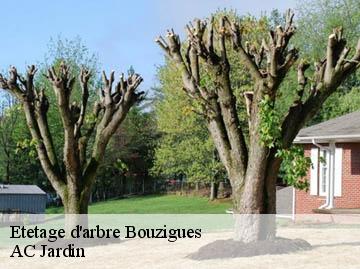 Etetage d'arbre bouzigues-34140 AC Jardin