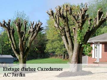 Etetage d'arbre cazedarnes-34460 AC Jardin