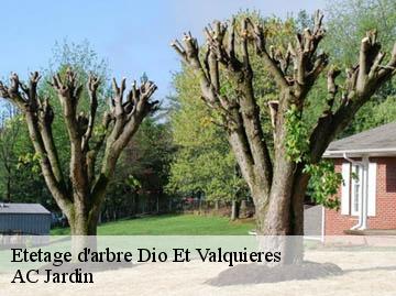 Etetage d'arbre dio-et-valquieres-34650 AC Jardin
