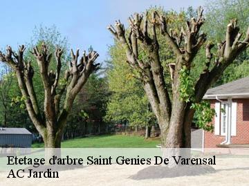 Etetage d'arbre  saint-genies-de-varensal-34610 AC Jardin