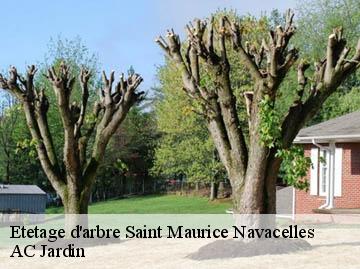Etetage d'arbre saint-maurice-navacelles-34520 AC Jardin