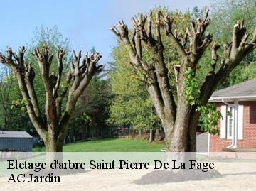 Etetage d'arbre saint-pierre-de-la-fage-34520 AC Jardin