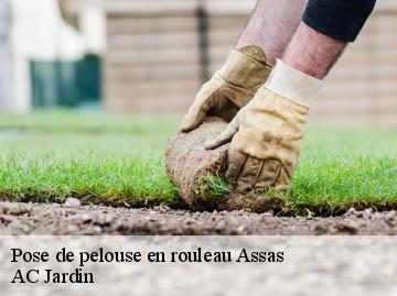 Pose de pelouse en rouleau assas-34820 AC Jardin