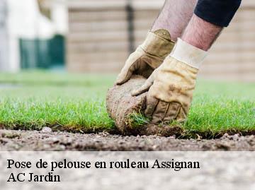 Pose de pelouse en rouleau assignan-34360 AC Jardin
