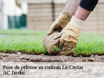 Pose de pelouse en rouleau le-caylar-34520 AC Jardin