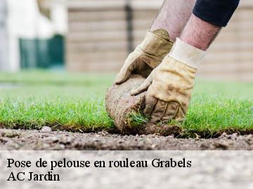 Pose de pelouse en rouleau grabels-34790 AC Jardin