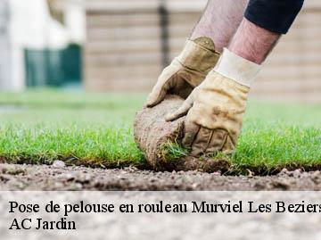 Pose de pelouse en rouleau murviel-les-beziers-34490 AC Jardin