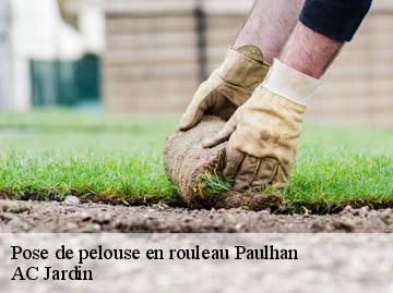 Pose de pelouse en rouleau  paulhan-34230 AC Jardin