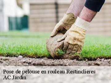 Pose de pelouse en rouleau restinclieres-34160 AC Jardin