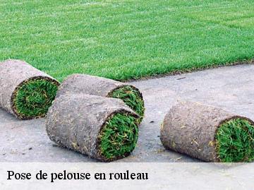 Pose de pelouse en rouleau