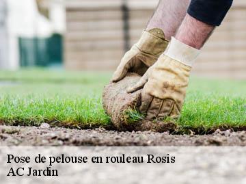 Pose de pelouse en rouleau rosis-34610 AC Jardin