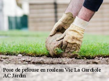 Pose de pelouse en rouleau  vic-la-gardiole-34110 AC Jardin