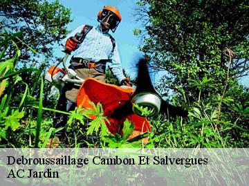 Debroussaillage cambon-et-salvergues-34330 AC Jardin