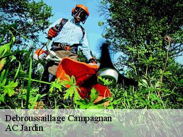 Debroussaillage campagnan-34230 AC Jardin