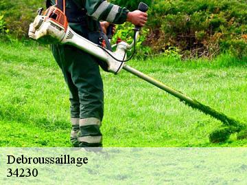 Debroussaillage 34230